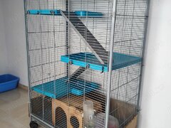 Cusca rozatoare (hamsteri, chinchilla etc.)