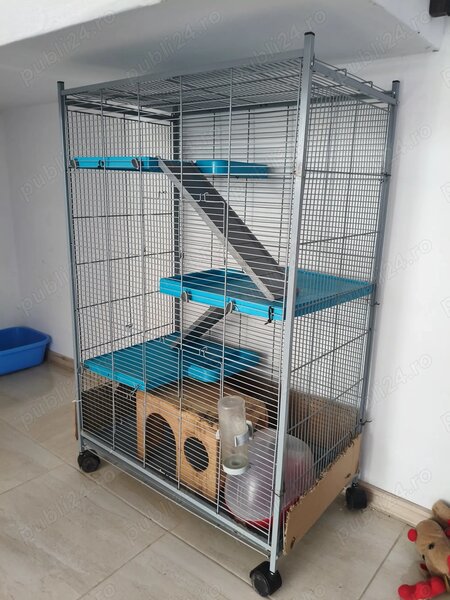 Cusca rozatoare (hamsteri, chinchilla etc.).