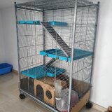 Cusca rozatoare (hamsteri, chinchilla etc.)